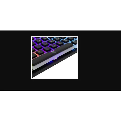 White Shark Ashiko-2 black US