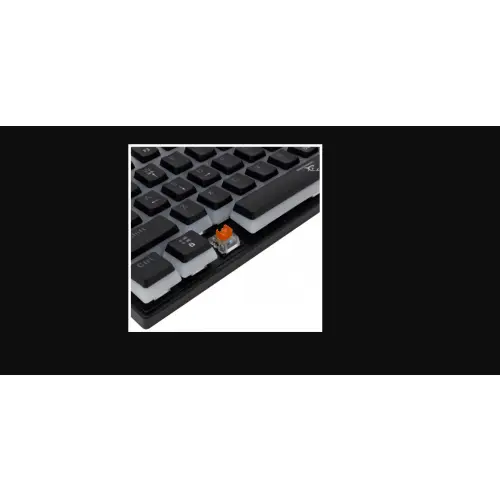 White Shark Ashiko-2 black US