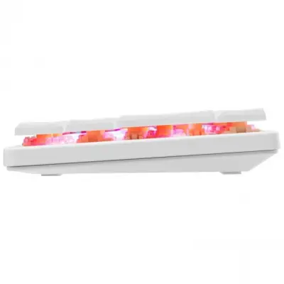 White Shark GK-006211 Nagamaki biały red switch