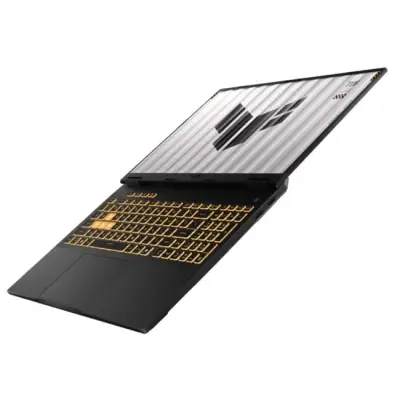 ASUS TUF Gaming F16 FX608JMR-RV141 - i5-14450HX 16
