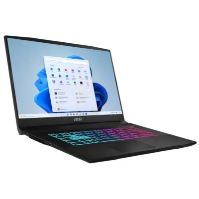 MSI Katana 17 HX B14WGK-036XPL - i7-14650HX 17,3" 64GB 2TB W11H RTX 5070