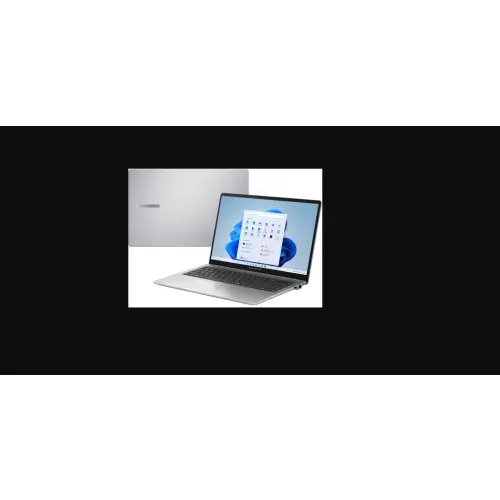 Asus ExpertBook P1503CVA-S70908 - i5-13420H 15,6'' 8GB 512GB no Os