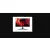 Acer Nitro XZ323QUP2bmiiphx - 180Hz QHD 31,5'' VA 1ms