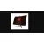Acer ED320QUS3BMIIPX - 144Hz QHD VA 31,5''