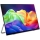Acer PE160WSMIUUX