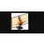 AOC 27B31H - 120Hz Full HD IPS 27''