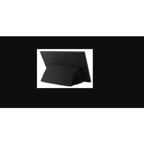 ASUS ZenScreen MB166C - 60Hz Full HD 15,6'' IPS 5ms