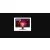 BenQ EX240N - 165Hz Full HD 23,8'' VA 1ms