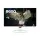 BenQ EW270Q - 200Hz QHD IPS 27" USB-C PD65W