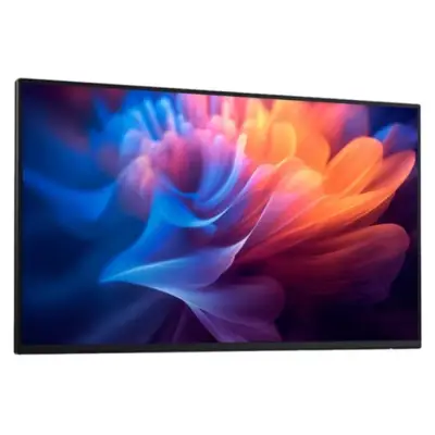 Dell P2425HWO - 100Hz Full HD 24'' IPS 5ms