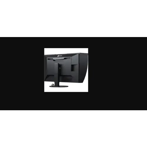 Eizo ColorEdge CG319X-BK - 31.1