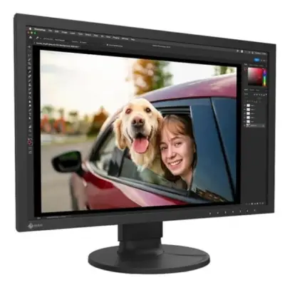 EIZO ColorEdge CS2400R - 24.1'' IPS WXGA