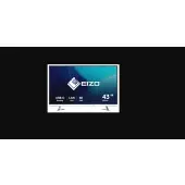 EIZO FlexScan EV4340X-WT - 60Hz 4K IPS 42,5''