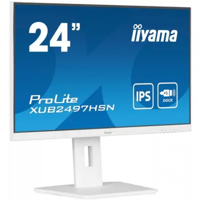 iiyama ProLite XUB2497HSN-W1 - 100Hz Full HD 23,8'' IPS 1ms