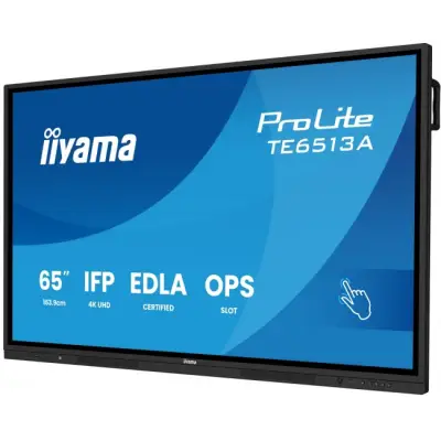 iiyama ProLite TE6513A-B1AG