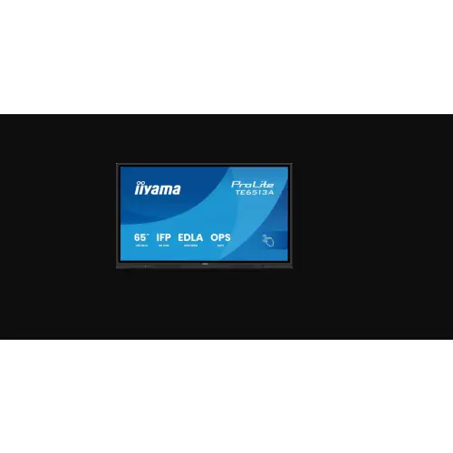iiyama ProLite TE6513A-B1AG