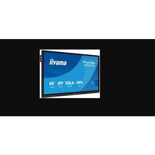 iiyama ProLite TE6513A-B1AG