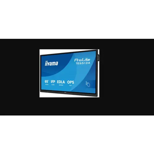 iiyama ProLite TE6513A-B1AG