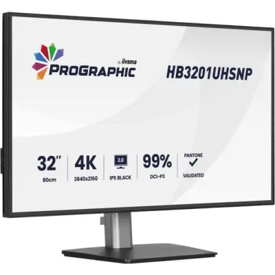 iiyama ProGraphic HB3201UHSNP-B1 - IPS 4K USB-C PW96W 31.5