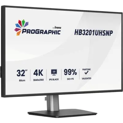 iiyama ProGraphic HB3201UHSNP-B1 - IPS 4K USB-C PW96W 31.5