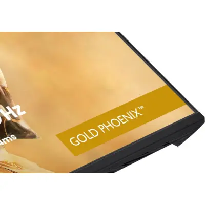 iiyama G-Master GB3295QSU-B1 Gold Phoenix - 240Hz QHD Fast VA 31.5