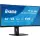 iiyama ProLite XCB3497WQSNP-B1 - 120Hz UWQHD 34'' VA 0.4ms + Norton Small Business