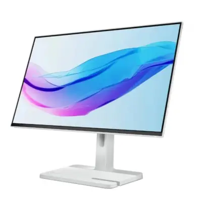 Lenovo L24m-4A - 100Hz Full HD 23.8