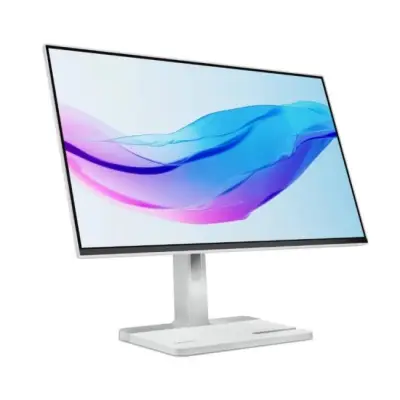 Lenovo L24m-4A - 100Hz Full HD 23.8