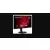 ViewSonic VG2409-MHDU-2 - 24