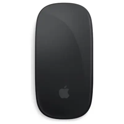 Apple Magic Mouse - Black Multi-Touch Surface USB-C
