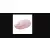 Baseus F01B Baby Pink