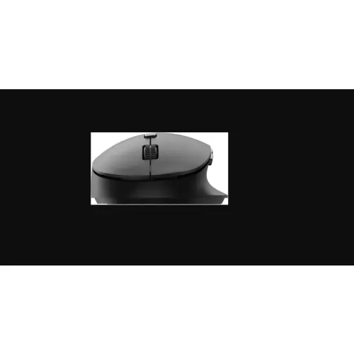 Philips SPK7507 Wireless Mouse 2.4GHz Black