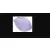 Trust Ozaa Compact Wireless Mouse Fioletowa