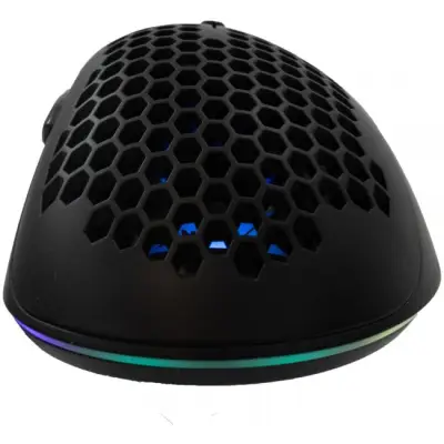 Baracuda BGM-031 Coral czarny