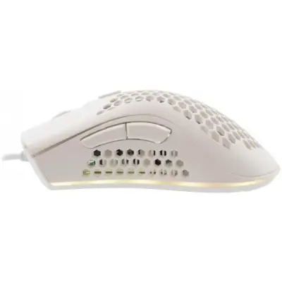 Baracuda BGM-031 Coral biały