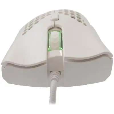 Baracuda BGM-031 Coral biały