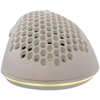 Baracuda BGM-031 Coral biały