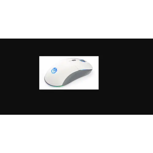 ENDORFY GEM Plus Wireless Onyx White