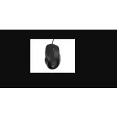 Natec Pigeon 2