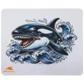 Baracuda Orca biała 300×250mm