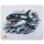 Baracuda Orca biała 300×250mm