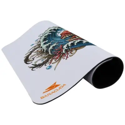 Baracuda Coral biała 300×250mm
