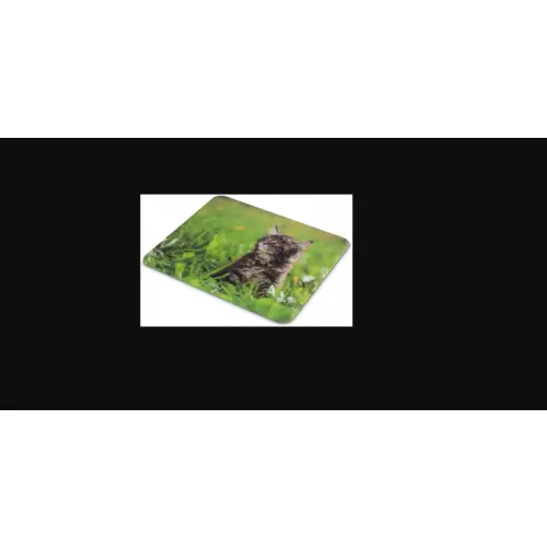 Hama Animal
