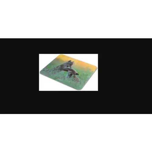 Hama Animal