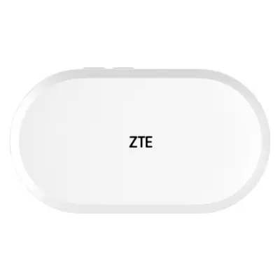 ZTE U10