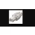 Techly 105872 Wtyk modularny RJ45 Cat6a 10G beznarzędziowy, STP