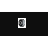 Reolink Fisheye Series W520