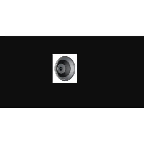 Reolink Fisheye Series W520