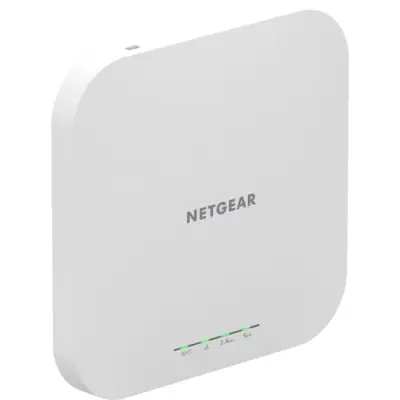 Netgear WAX610-100EUS
