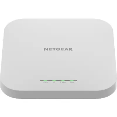 Netgear WAX610-100EUS
